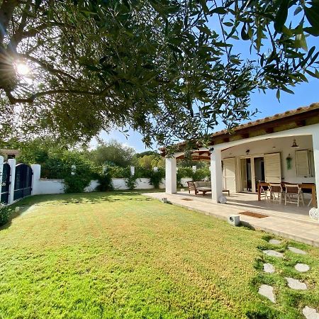 卡斯蒂亚达斯La Casa Dell Olivo别墅 外观 照片