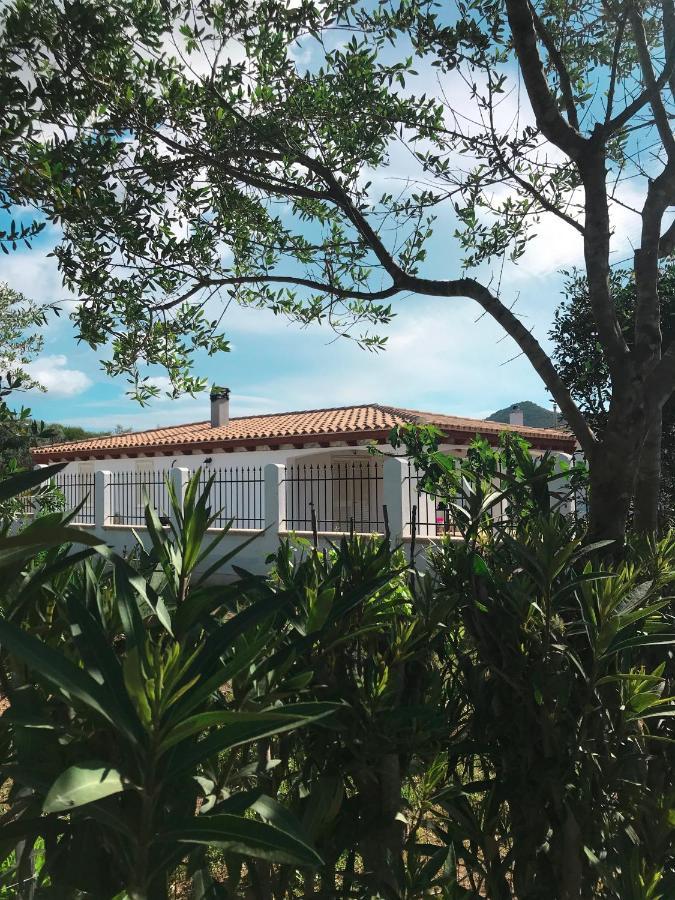 卡斯蒂亚达斯La Casa Dell Olivo别墅 外观 照片